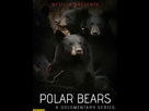 https://image.noelshack.com/fichiers/2021/27/4/1625757918-polar-bears-a-documentary-series-by-netflix-black-bears.jpg