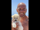 https://image.noelshack.com/minis/2021/27/6/1625914227-8b5c1eb5-1174-4361-8f39-14cdb4d16264.png