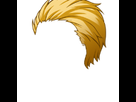 https://www.noelshack.com/2021-27-6-1625942627-fg-rearhair1-p01-c1-m003.png