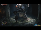https://image.noelshack.com/fichiers/2021/28/1/1626091022-demon-s-souls-soluce-guide-boss-avant-garde-001.jpg