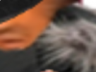 https://image.noelshack.com/fichiers/2021/28/1/1626121219-8-ylo1w5ga.png