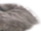 https://image.noelshack.com/fichiers/2021/28/1/1626121252-9-ylo1w5ga.png