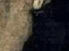 https://image.noelshack.com/fichiers/2021/28/4/1626377468-43-ldpz6rjz.png