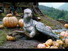 https://image.noelshack.com/fichiers/2021/28/4/1626378476-buckbeak-chains-big.jpg