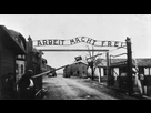 https://image.noelshack.com/fichiers/2021/28/4/1626386357-arbeit-macht-frei.jpg