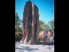 https://image.noelshack.com/fichiers/2021/28/7/1626608394-450px-termite-mound-nt.jpg