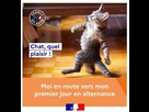 https://image.noelshack.com/fichiers/2021/29/4/1626967919-image0-54.jpg