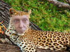 https://image.noelshack.com/fichiers/2021/29/7/1627244264-leopard-de-lesquen3.jpg