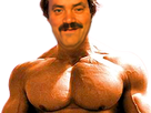 https://image.noelshack.com/fichiers/2021/30/1/1627336490-muscu-risitas-schwarzy.png