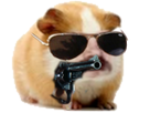 https://image.noelshack.com/fichiers/2021/30/2/1627408423-t-kient-make-my-day.png