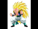 https://image.noelshack.com/fichiers/2021/30/3/1627473906-gotenks.png