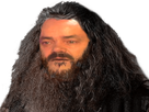 https://image.noelshack.com/fichiers/2021/30/3/1627485439-1586084871-risitas-hagrid.png