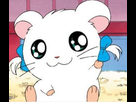 https://image.noelshack.com/fichiers/2021/30/4/1627560306-hamtaro11.jpg