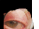 https://image.noelshack.com/fichiers/2021/31/1/1627936237-9-9kogc51s.png