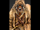 https://image.noelshack.com/fichiers/2021/31/2/1628017343-star-wars-tusken-raider-barbaric-desert-tribe-artf-alt-9.jpg