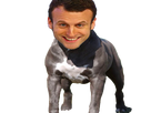 https://image.noelshack.com/fichiers/2021/31/5/1628254196-macron2v4.png