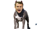 https://image.noelshack.com/fichiers/2021/31/5/1628254867-macron4v2.png