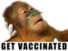 https://image.noelshack.com/fichiers/2021/31/6/1628334366-pleasegetvaccinated.jpg