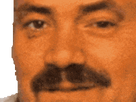 https://image.noelshack.com/fichiers/2021/32/2/1628611420-risitas-sourire-qui.gif