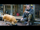 https://image.noelshack.com/fichiers/2021/32/3/1628658395-une-bande-annonce-de-cochon-envoie-nicolas-cage-a-la-recherche.jpg