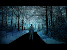 https://image.noelshack.com/fichiers/2021/32/6/1628920633-silent-hill-shattered-memories-photo-1120583.jpg