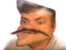 https://image.noelshack.com/fichiers/2021/32/7/1629036834-1599266083-boulgorin.png