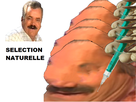 https://image.noelshack.com/fichiers/2021/32/7/1629061583-229926-full.png