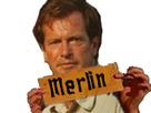 https://image.noelshack.com/fichiers/2021/33/1/1629114472-merlin.png