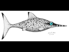 https://image.noelshack.com/fichiers/2021/33/6/1629564927-ophthalmosaurus-revised.jpg