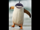 https://image.noelshack.com/fichiers/2021/34/4/1629983914-pingouin-requin.jpg