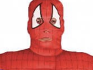 https://image.noelshack.com/fichiers/2021/34/4/1629985317-spoderman.png