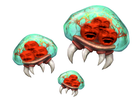 https://image.noelshack.com/fichiers/2021/34/4/1629989733-risitas-metroid.jpg