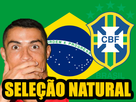 https://image.noelshack.com/fichiers/2021/34/6/1630181287-selecao.png