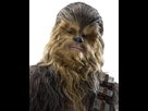 https://image.noelshack.com/fichiers/2021/35/1/1630359693-chewbaccatfahs-fathead.png