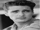 https://image.noelshack.com/fichiers/2021/35/6/1630711937-brandon.png