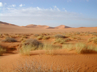https://image.noelshack.com/fichiers/2021/36/2/1631023385-1280px-sahara.jpg