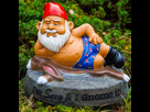 https://image.noelshack.com/fichiers/2021/36/6/1631384856-nain-de-jardin-i-m-sexy-an-i-gnome-it.jpg