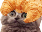 https://image.noelshack.com/fichiers/2021/36/6/1631394630-e2c75156-0203-4bba-ab3e-3e675e1652a1.jpeg