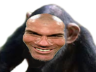 https://image.noelshack.com/fichiers/2021/38/6/1632597065-zizou-singe.png