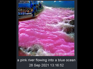 https://image.noelshack.com/fichiers/2021/39/2/1632837740-a-pink-river-flowing-into-a-blue-ocean.png