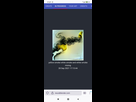 https://image.noelshack.com/fichiers/2021/39/2/1632848893-screenshot-2021-09-28-17-27-18-909-org-mozilla-firefox.jpg