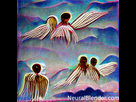 https://image.noelshack.com/fichiers/2021/39/2/1632865198-on-the-back-of-angels.png