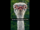 https://image.noelshack.com/fichiers/2021/39/2/1632865501-45bd98a0-5bc1-4295-bcd1-37c95b855583.jpeg
