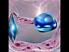 https://image.noelshack.com/fichiers/2021/39/3/1632915677-8913c053-2119-11ec-9e29-790584d03754.png
