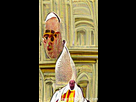 https://image.noelshack.com/fichiers/2021/39/3/1632916625-pope-francis.png