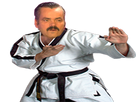 https://image.noelshack.com/fichiers/2021/39/5/1633086264-1618159269-1522672196-risi-karate1.png
