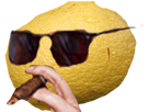 https://image.noelshack.com/fichiers/2021/39/6/1633195855-citroncool.png