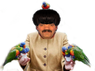 https://image.noelshack.com/fichiers/2021/39/7/1633258032-1632513601-merkel-perroquet.png