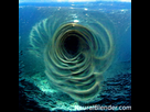 https://image.noelshack.com/fichiers/2021/40/1/1633346519-vortex-at-the-bottom-of-the-ocean.png