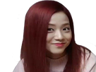 https://image.noelshack.com/fichiers/2021/40/3/1633556259-1565962432-blackpink-jisoo-malicious-smile.png